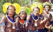 Indígenas Se aplica la denominación indígenas a las etnias que preservan las culturas tradicionales