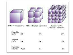 Unidad 3 Concentraciones