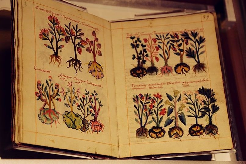 Relación de la Medicina Tradicional (con otras medicinas y aportación)