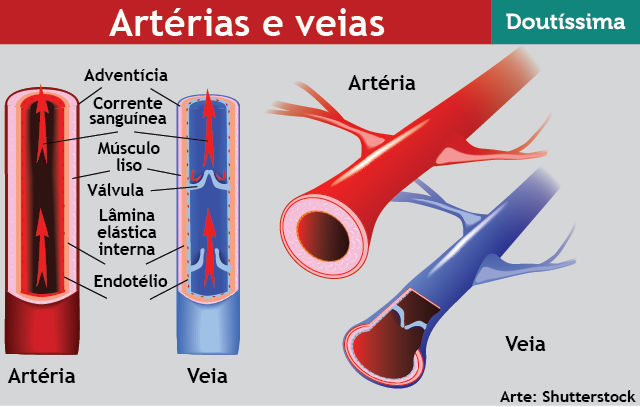 O que veia