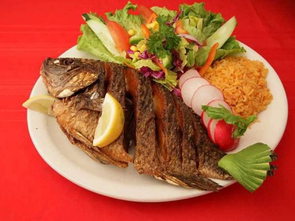 plato tipico
