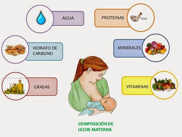 HISTOLOGÍA DEL APARATO REPRODUCTOR FEMENINO