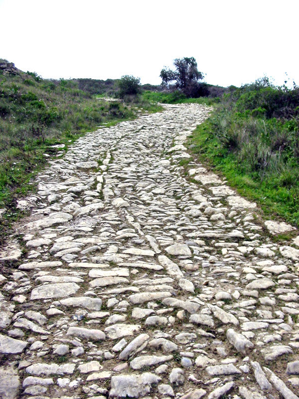 Capitulum VI Familia Romana