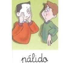 DESCOLORIDO: Pálido, sin color