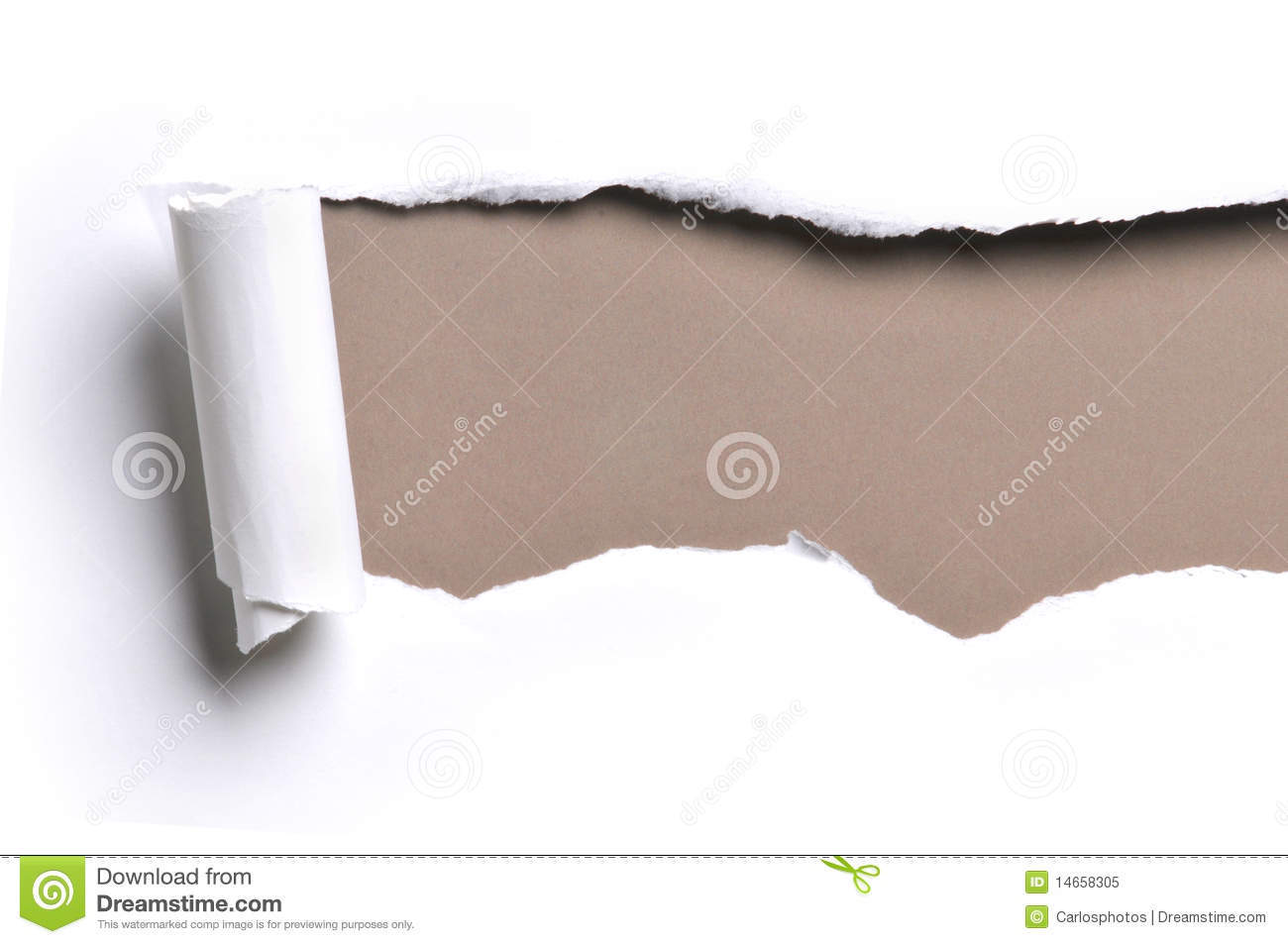 rip paper
