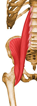Psoas ilíaco