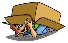 Hide