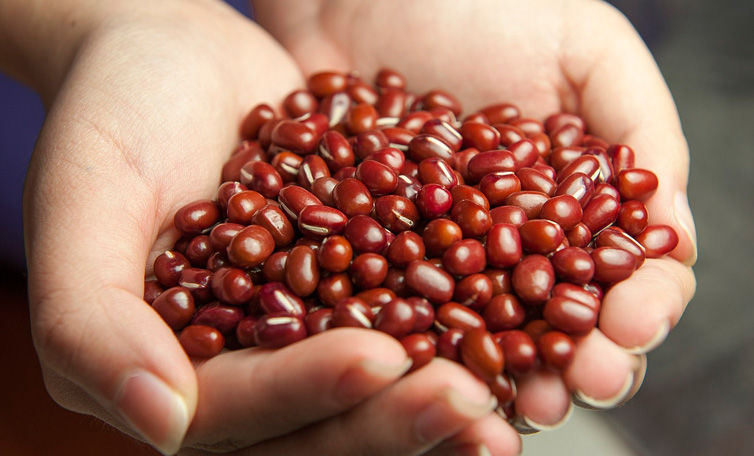 Beans