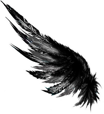 Wing-like