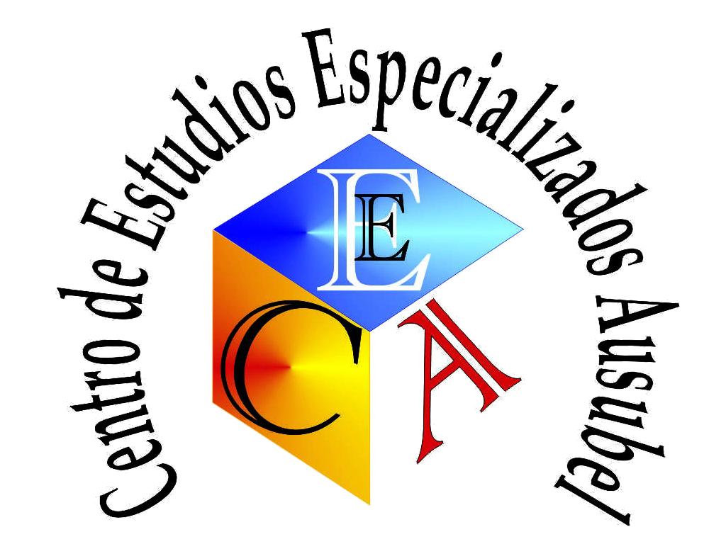 Resumen Ejecutivo - Estructura