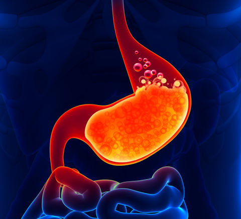 Datos que ni sabias del sistema digestivo