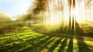 Sunlight.