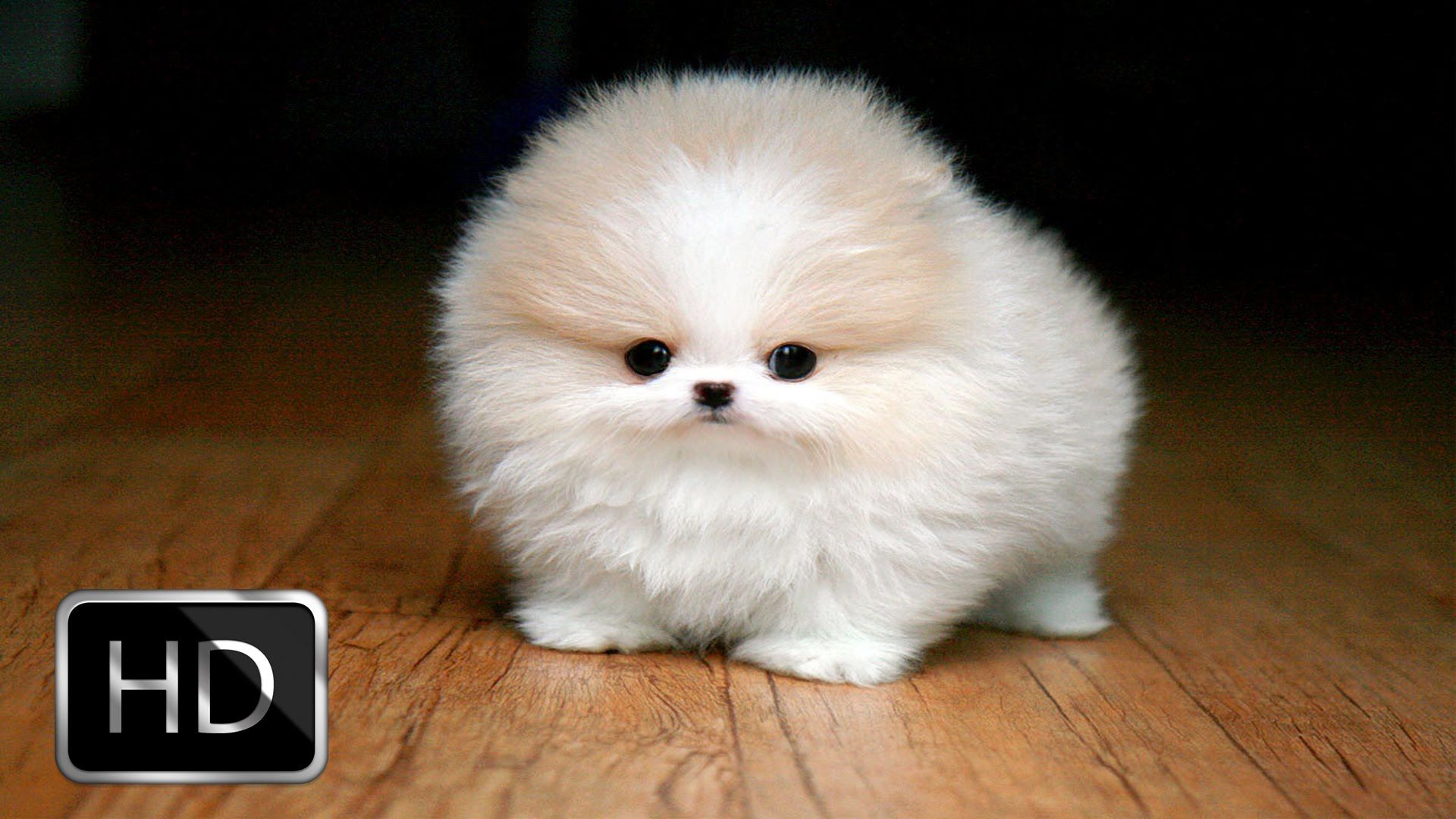fluffy