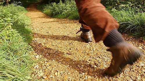 walks