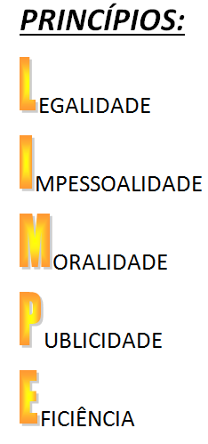 8.429 - Improbidade [1]