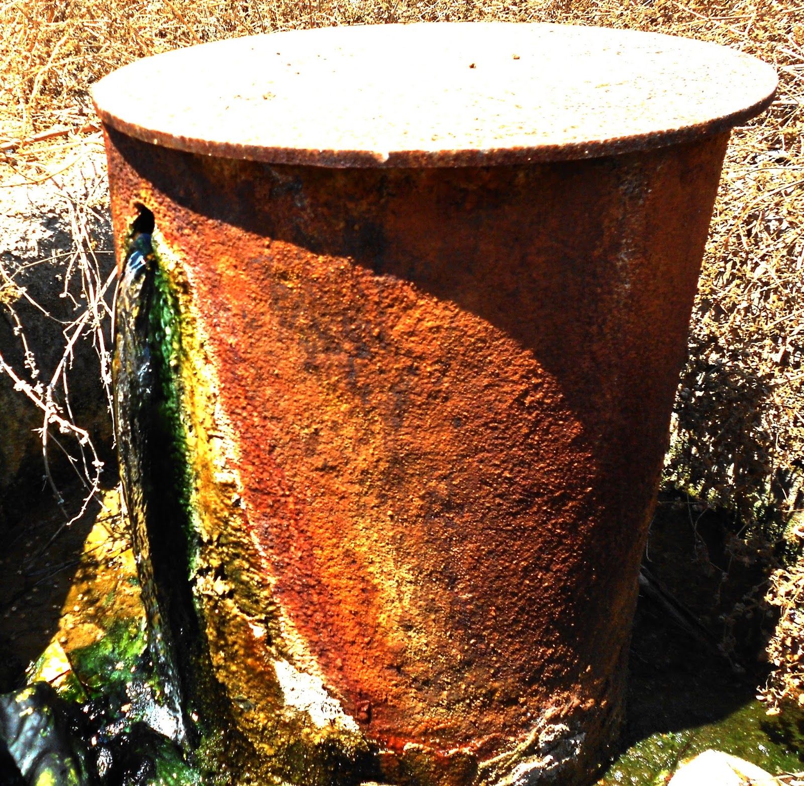 EL AGUA DE MURCIA (OFICIAL)