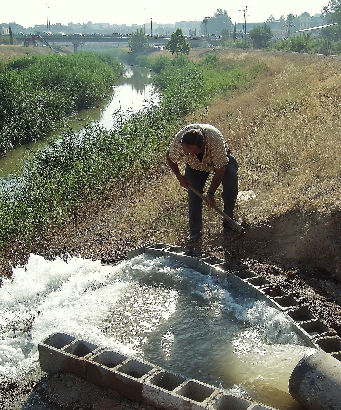 EL AGUA DE MURCIA (OFICIAL)