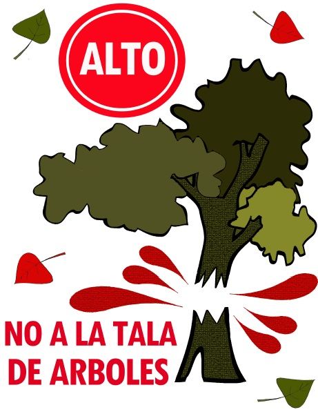 MEDIDAS DE PREVENCIÓN PARA CUIDAR EL MEDIO AMBIENTE + Crear conciencia ciudadana. + No quemar ni talar árboles y plantas. + Colocar la ba...