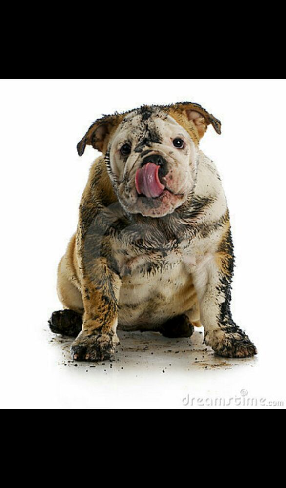 Dirty