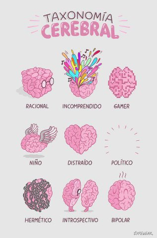 El conocimiento en sentido propio es aprehensión de la realidad