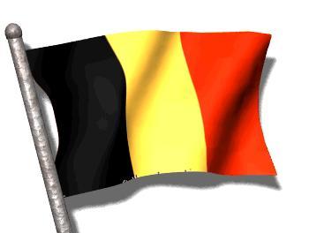 2. La Belgique ( Je vais / Je suis en Belgique) il est belge / elle est belge