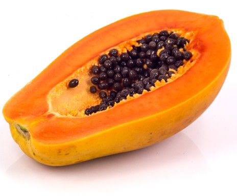 Quais as funções do fruto para as plantas?