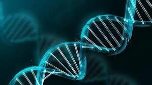 FACTORES QUE INFLUYEN EN LA EVOLUCION DE LA TECNOLOGIA