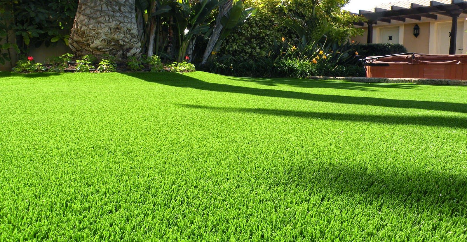Grass