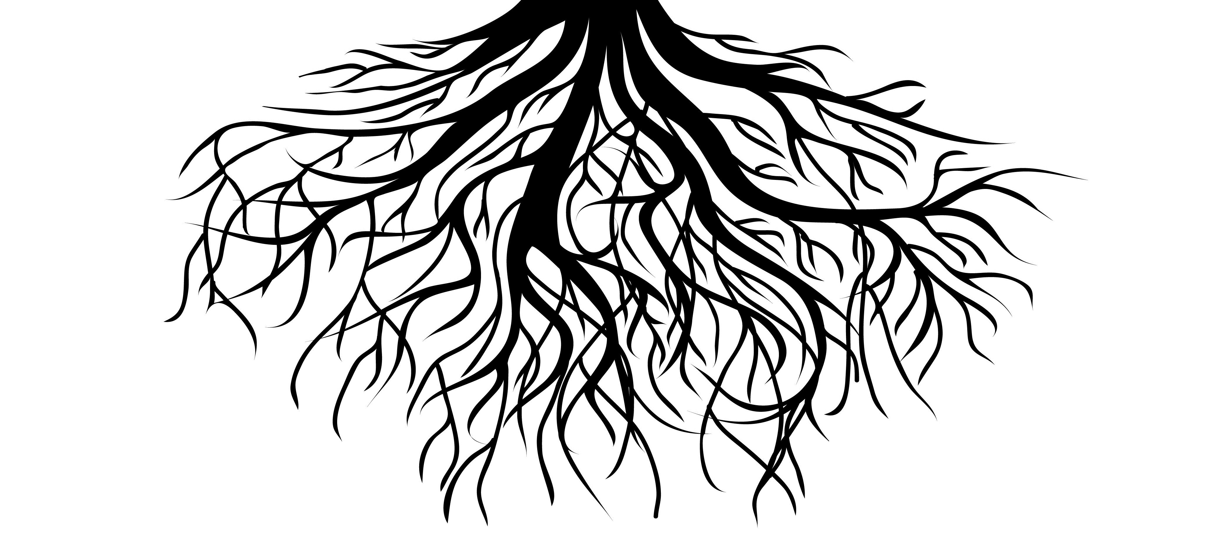 roots