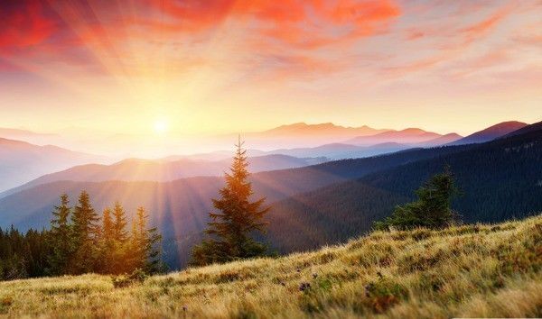Sunlight