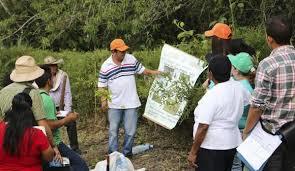 COMUNICACION ORGANIZACIONAL CON HERRAMIENTAS DE PNL.