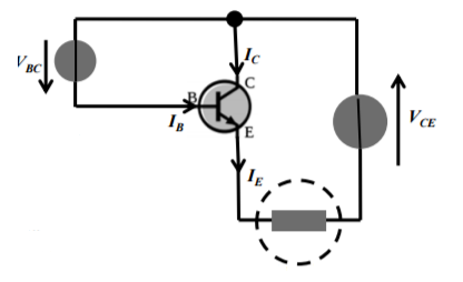 What is the definition of a "common collector amplifier"
