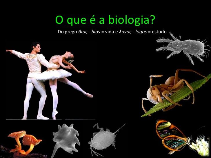 Introdução á biologia