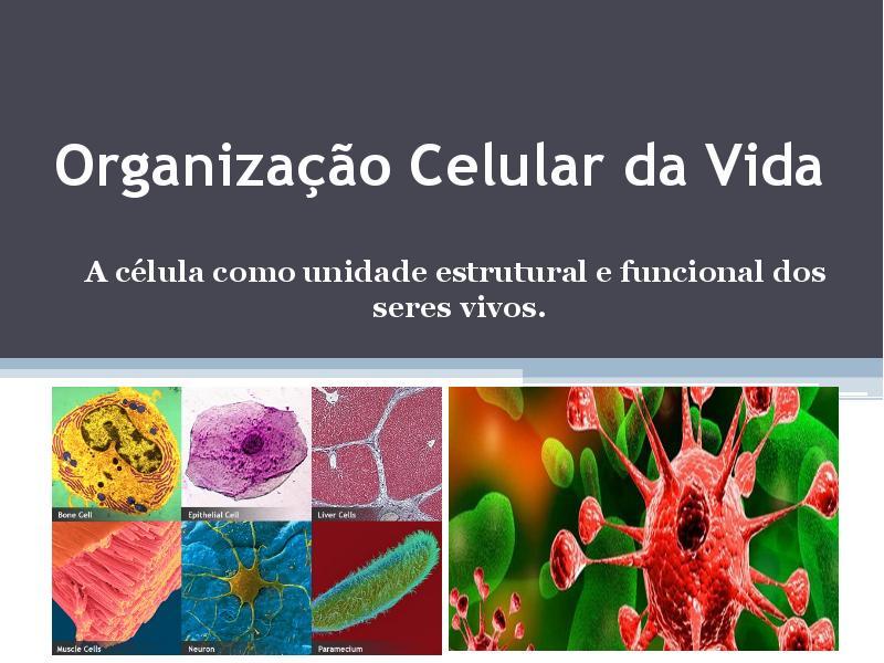 A Organização Celular