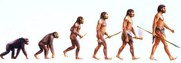 Evolução Do Homem