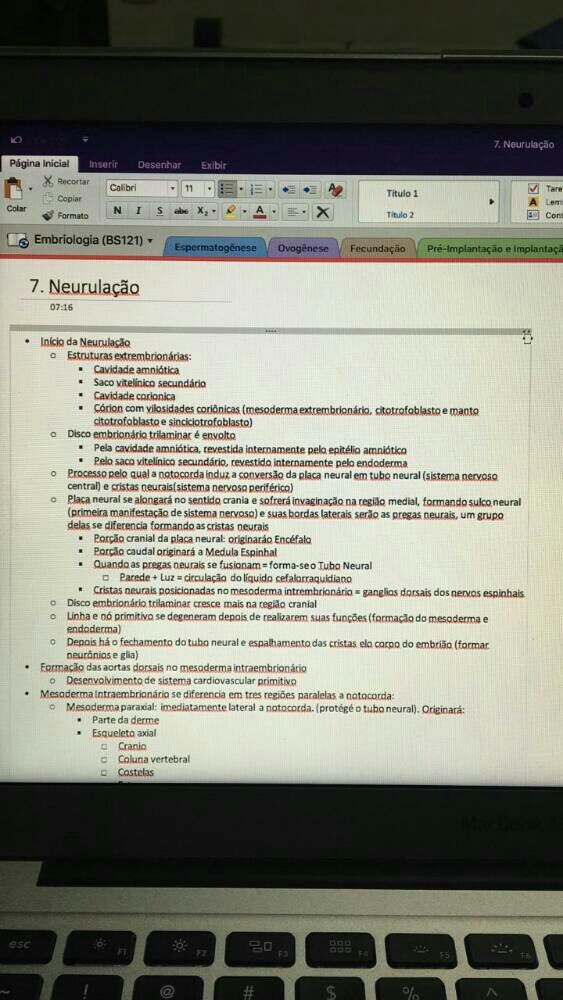 Embriologia do sistema nervoso
