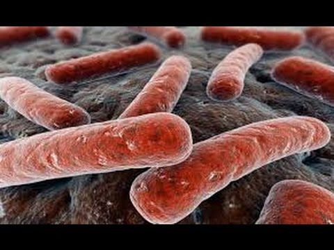 Enfermedades infecciosas y no infecciosas