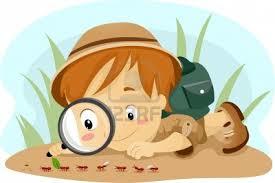 6. Las cuatro funciones del investigador cualitativo