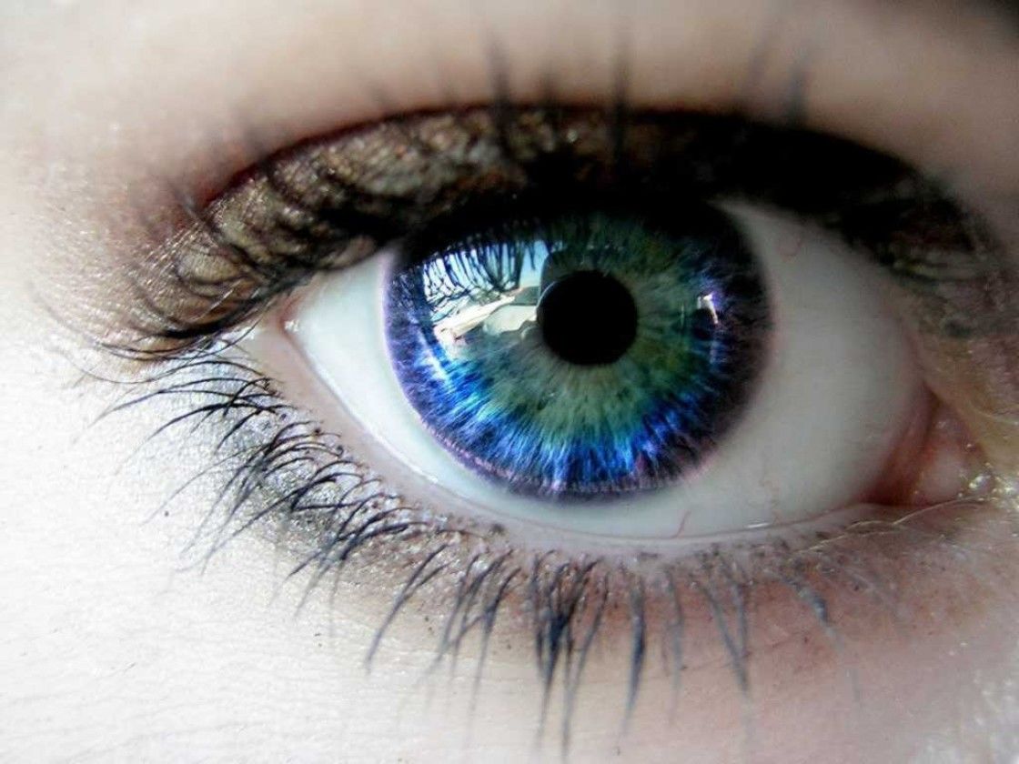 Los sistemas sensoriales y su funcionamiento