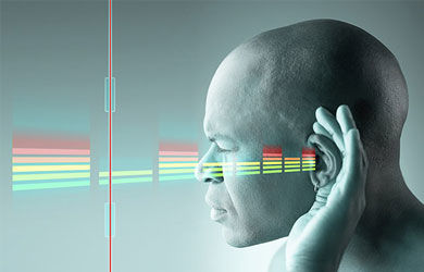 Los sistemas sensoriales y su funcionamiento
