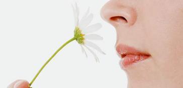 Los sistemas sensoriales y su funcionamiento