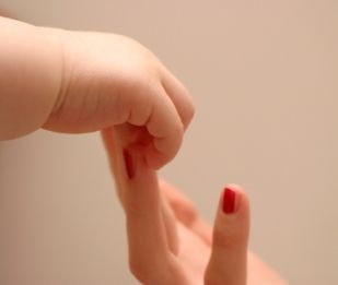 Los sistemas sensoriales y su funcionamiento