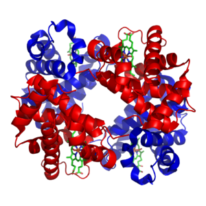 Proteínas, clasificación totales relación albumina-globulina