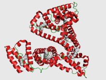 Proteínas, clasificación totales relación albumina-globulina