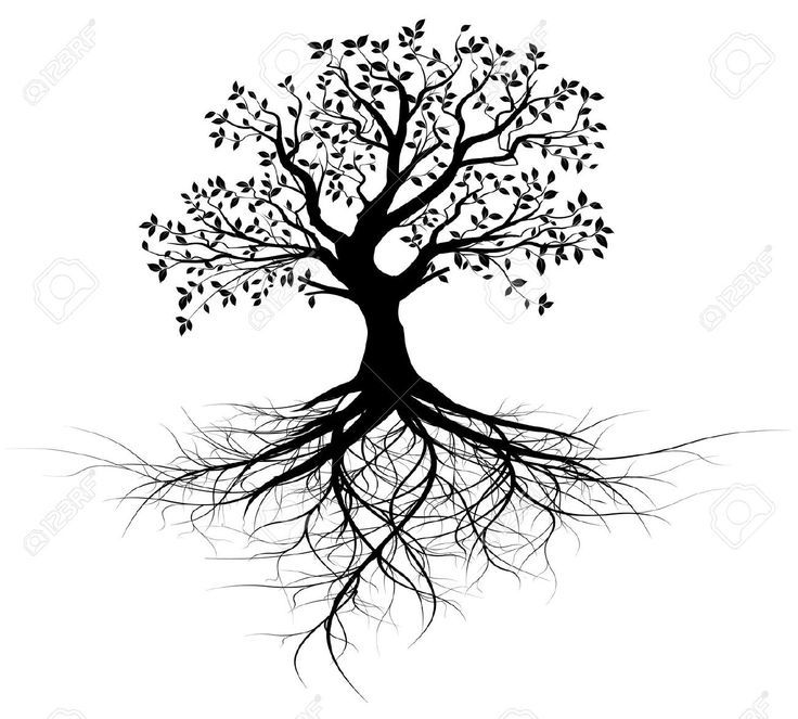 Árbol del problema