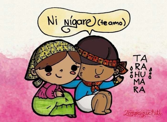 Parámetros Curriculares para la Educación Indigena