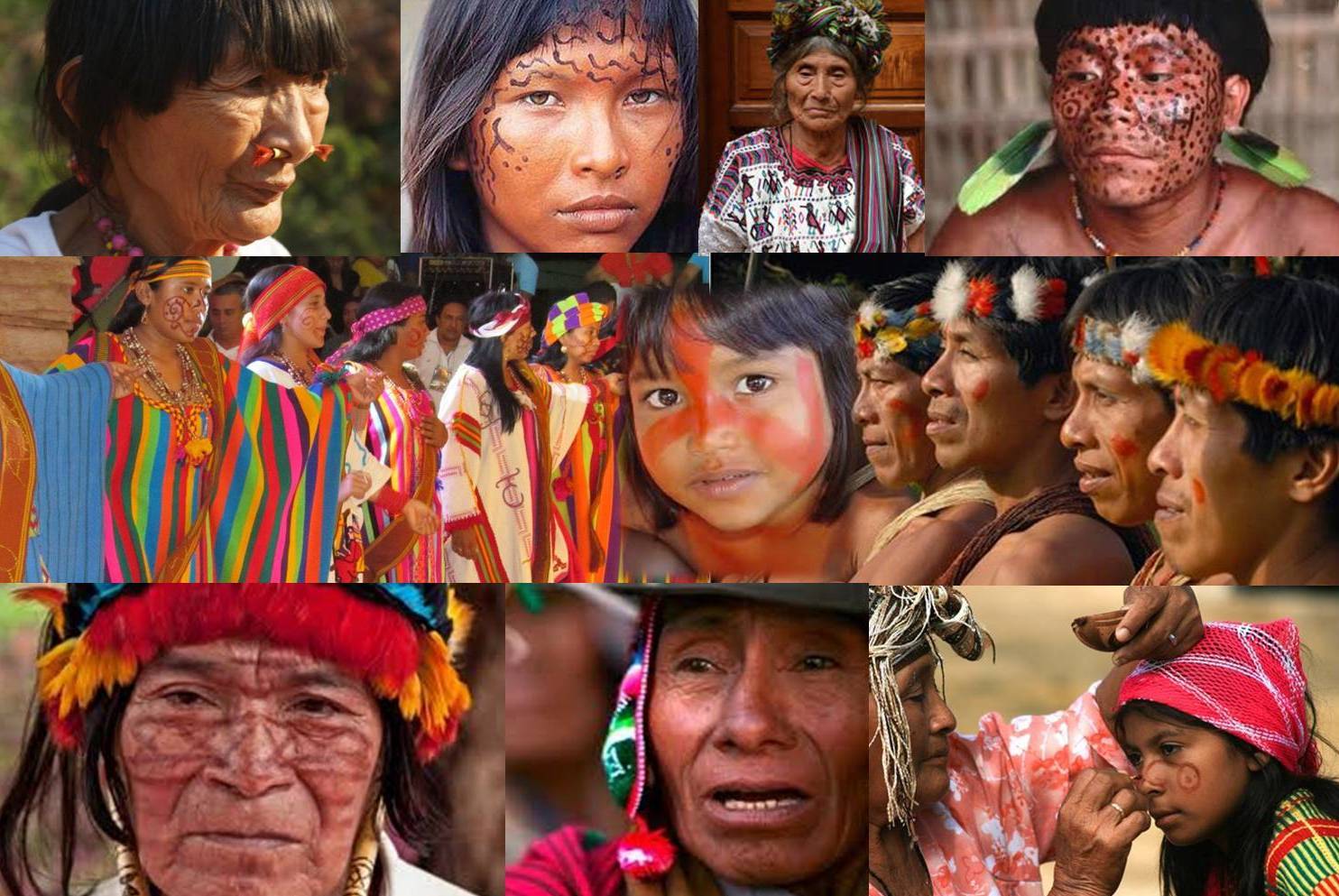 Parámetros Curriculares para la Educación Indigena