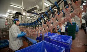 How were low skilled workers be exploited in the industrial revolution?