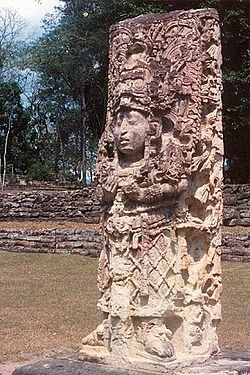 patrimonio natural de Guatemala:El parque está cubierto por selva umbrófila primaria, con un dosel que se eleva hasta unos cincuenta metros.