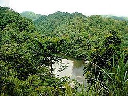 patrimonio natural de cuba:El Parque Nacional Alejandro de Humboldt es un parque nacional en las provincias cubanas Holguín y Guantánamo....